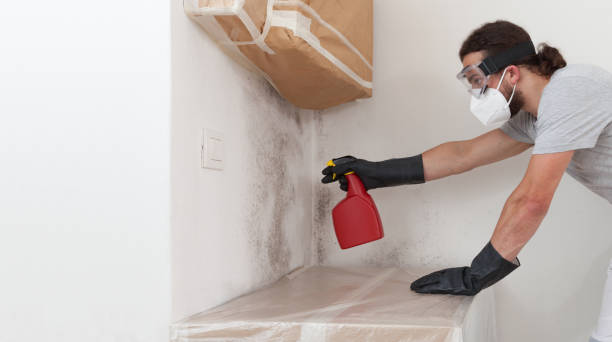 Professional Mold Inspection And Testing technician working in Prides Crossing, MA